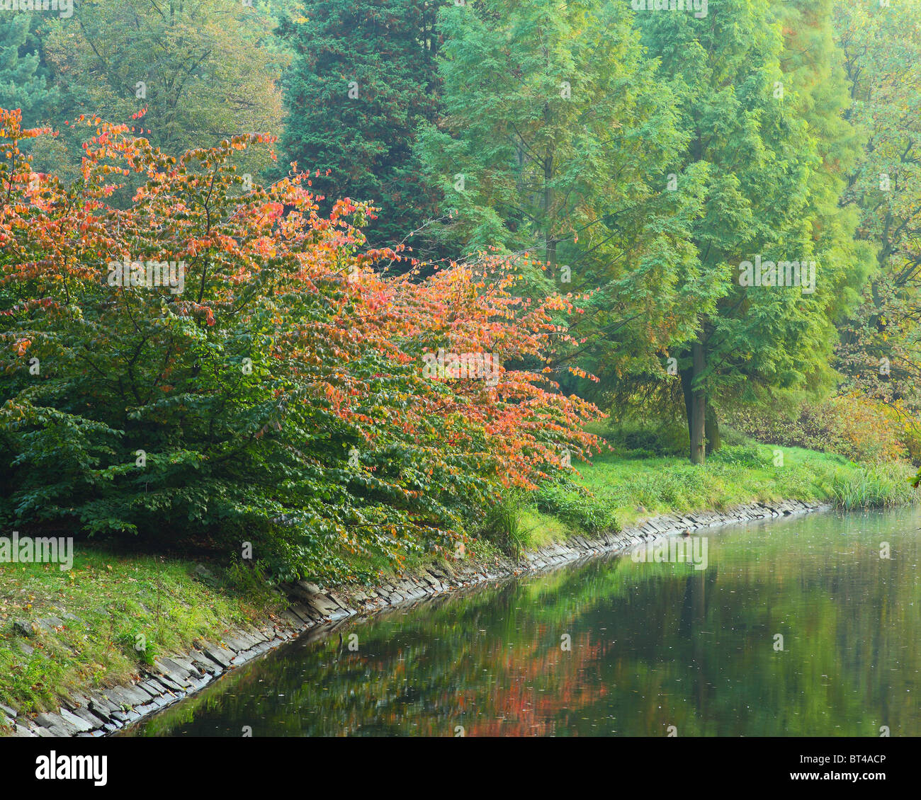 Ruhiges stilles Wasser und Farben des Herbstes Stockfoto