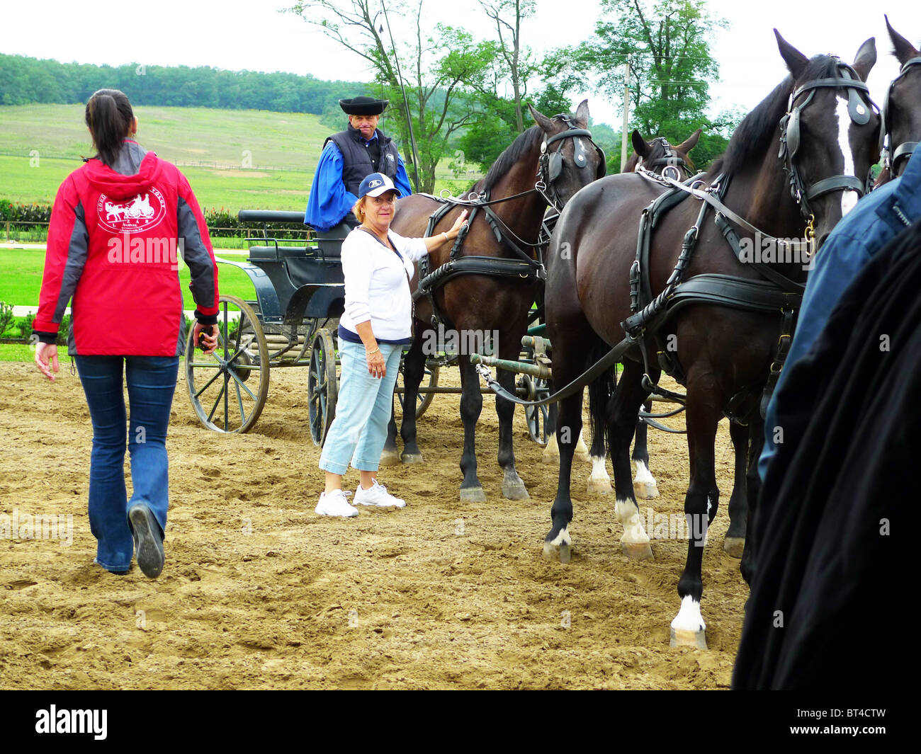 Viking Legend River Cruise ordnen organisieren Plan vorbereiten Zimmer Restaurant Blick Boot Bus Flugbegleiter Personal Kreuz über planen Stockfoto
