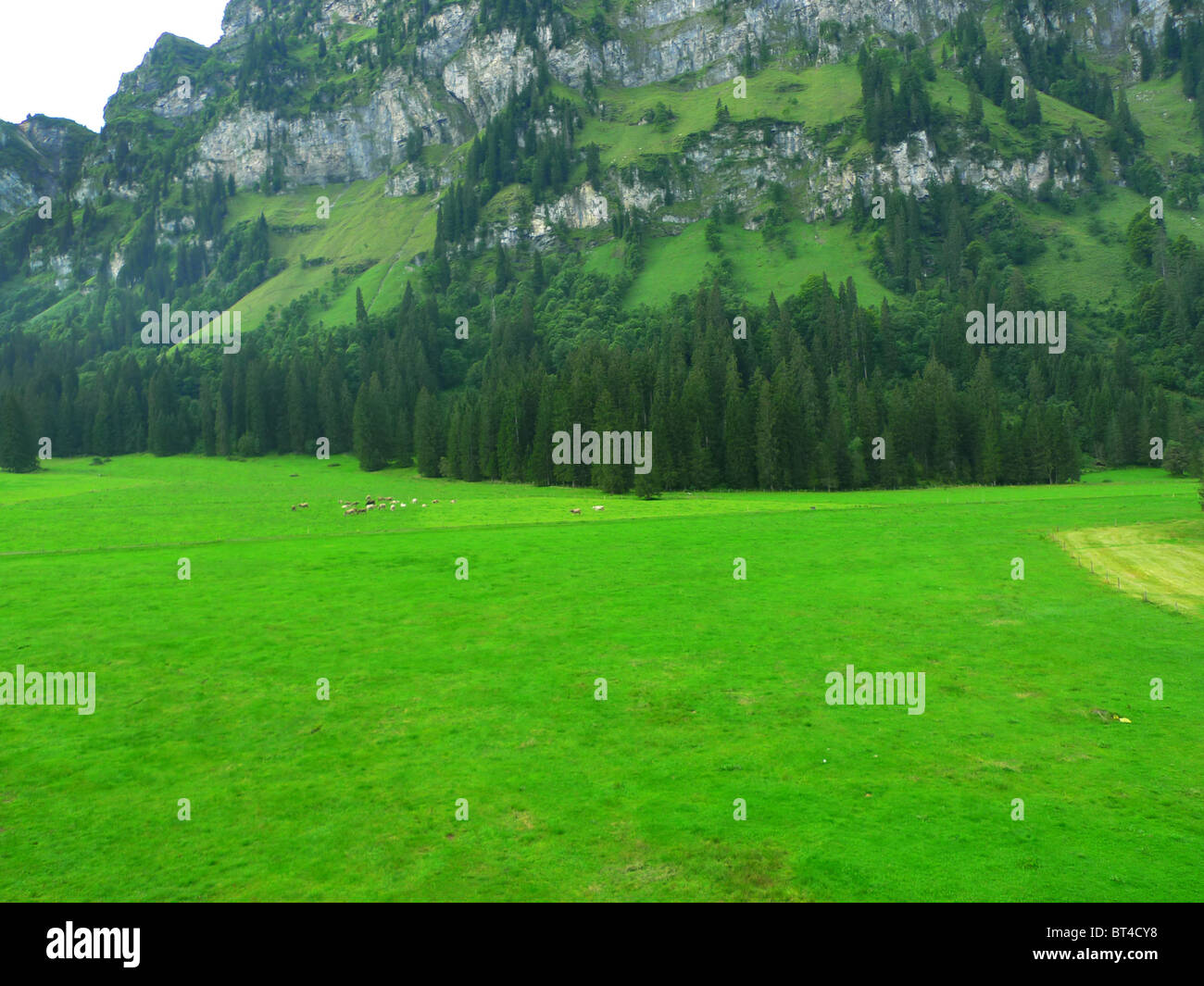 Reise Tour Tourismus Urlaub Besuch erkunden siehe Website Anblick Stadt Land Europas Schiene Bahnhofscafé Gepäck Koffer trainieren Stockfoto