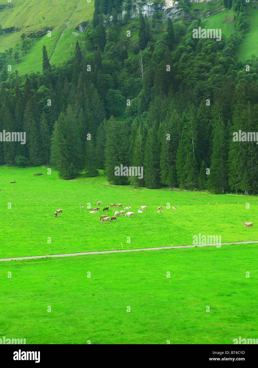 Reise Tour Tourismus Urlaub Besuch erkunden siehe Website Anblick Stadt Land Europas Schiene Bahnhofscafé Gepäck Koffer trainieren Stockfoto