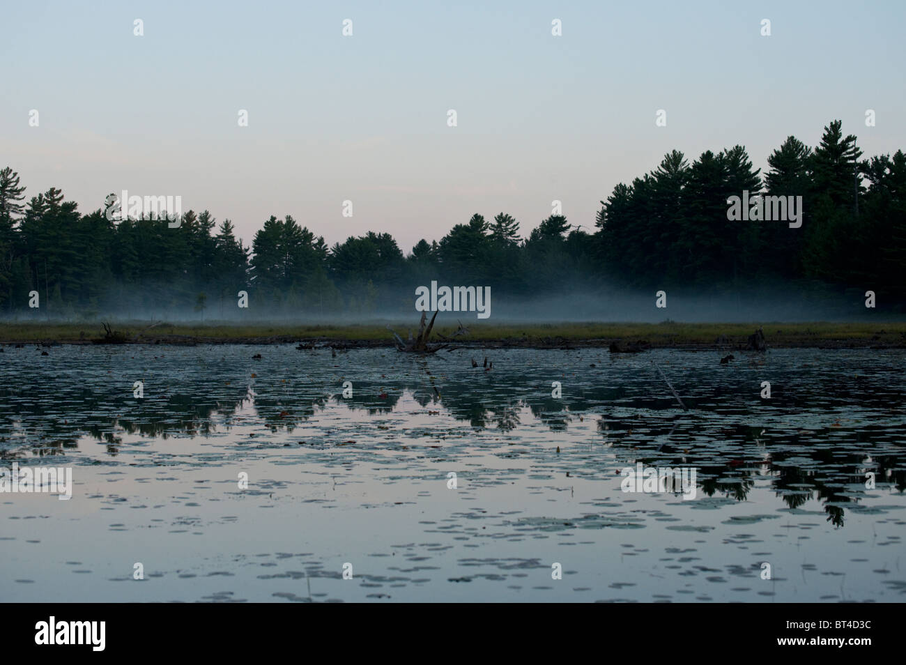 Morgennebel steigt von der Küste des Balsam Lake, Killarney Provincial Park. Stockfoto