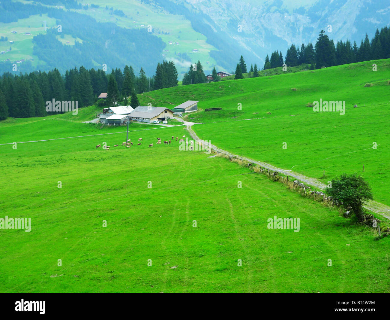 Reise Tour Tourismus Urlaub Besuch erkunden siehe Website Anblick Stadt Land Europas Schiene Bahnhofscafé Gepäck Koffer trainieren Stockfoto