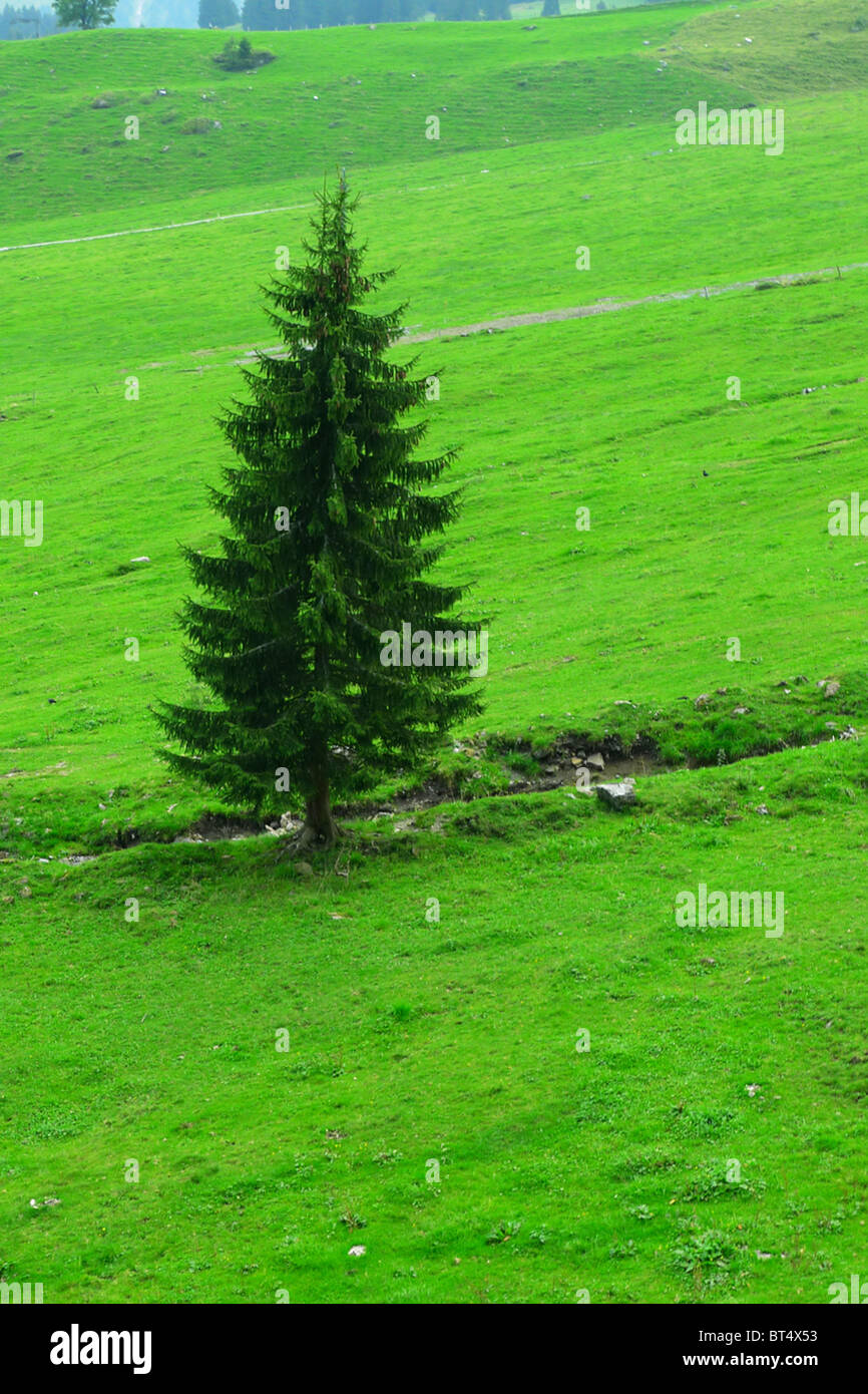 Reise Tour Tourismus Urlaub Besuch erkunden siehe Website Anblick Stadt Land Europas Schiene Bahnhofscafé Gepäck Koffer trainieren Stockfoto