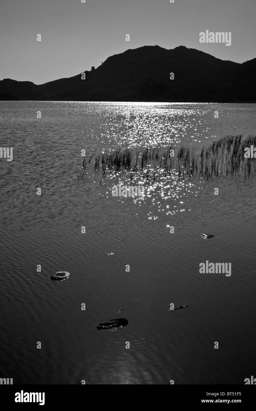 Leuchtfeuer Tarn auf Blawith Coomon in der Nähe von Torver, Coniston, Lake District, Cumbria Stockfoto