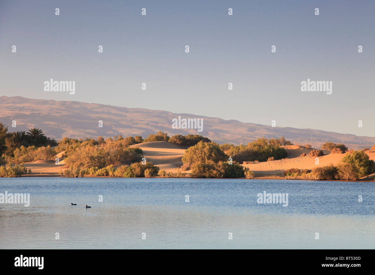 Kanarische Inseln, Gran Canaria, Playa del Ingles, Maspalomas Sand Dunes National Park Stockfoto