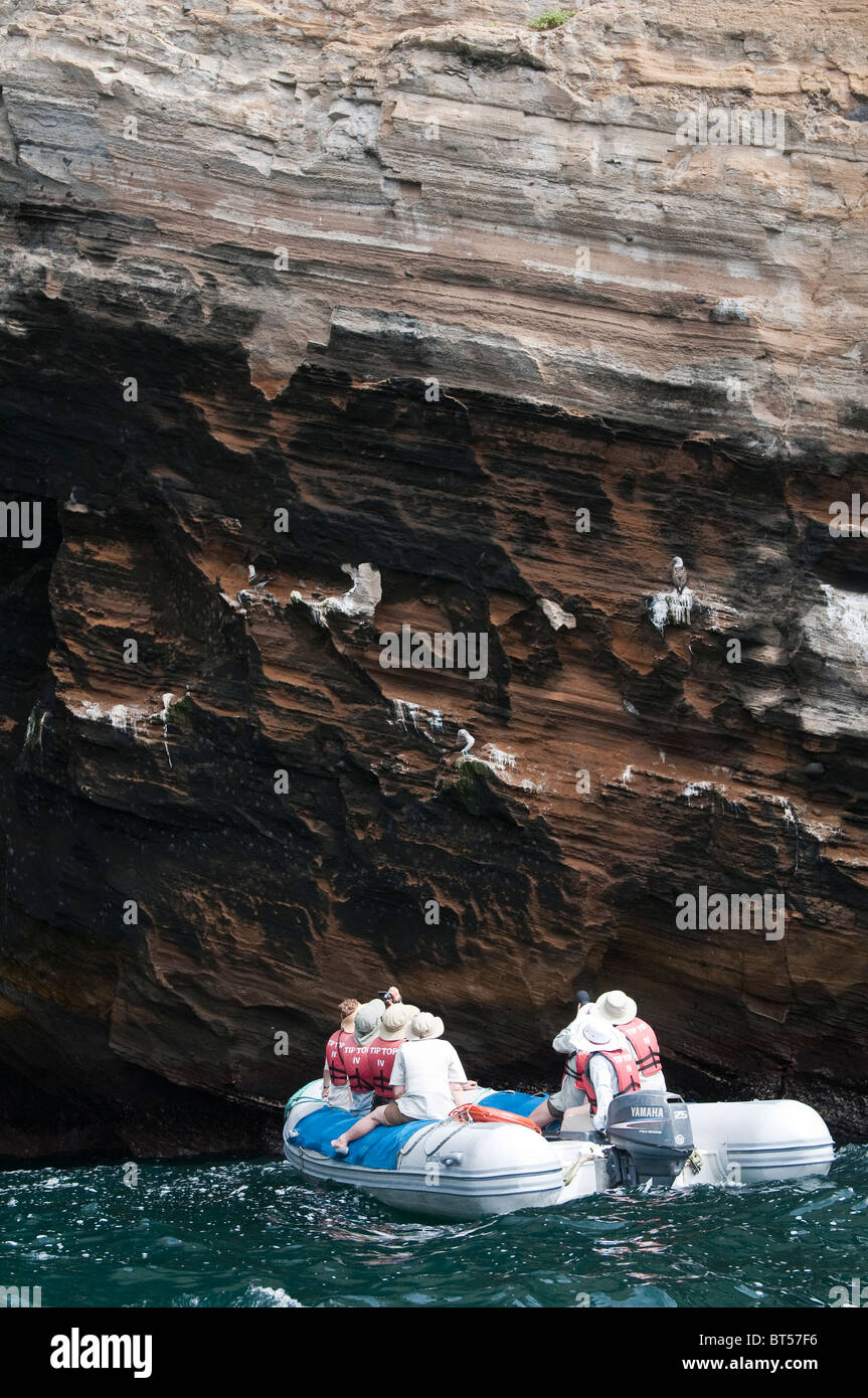 Galapagos-Inseln, Ecuador. Vincente Roca Punkt auf Isla Isabela (Insel Isabela). Stockfoto