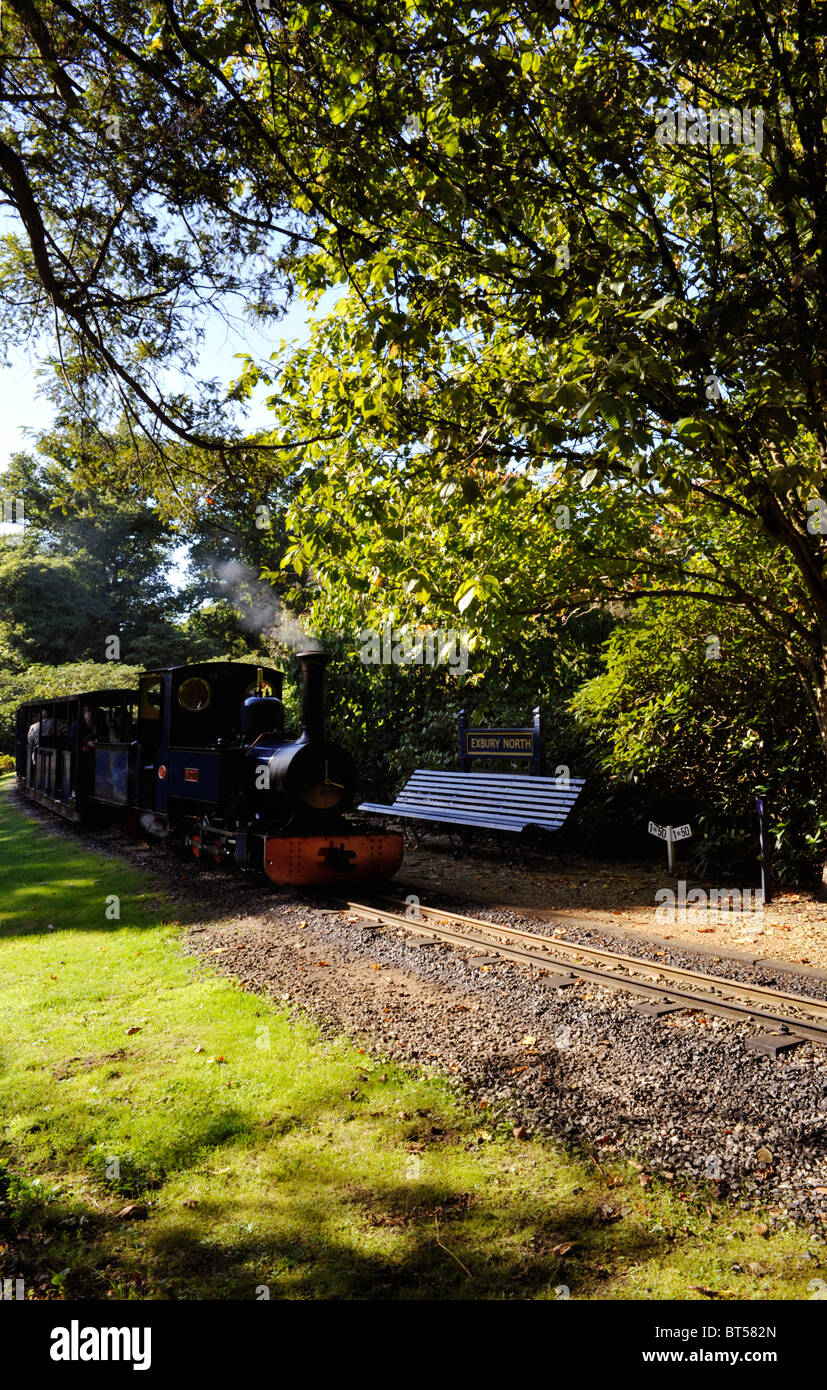 Schmalspur-Dampfzug in Exbury Gardens New Forest England uk Stockfoto