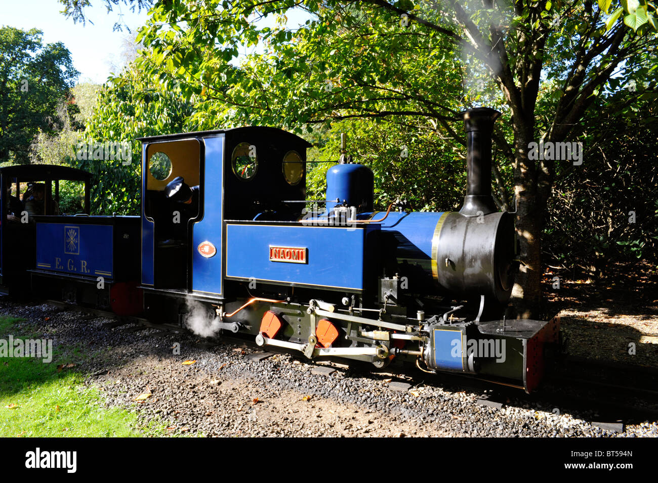 Miniatur-Dampfzug bei Exbury Gardens England uk Stockfoto