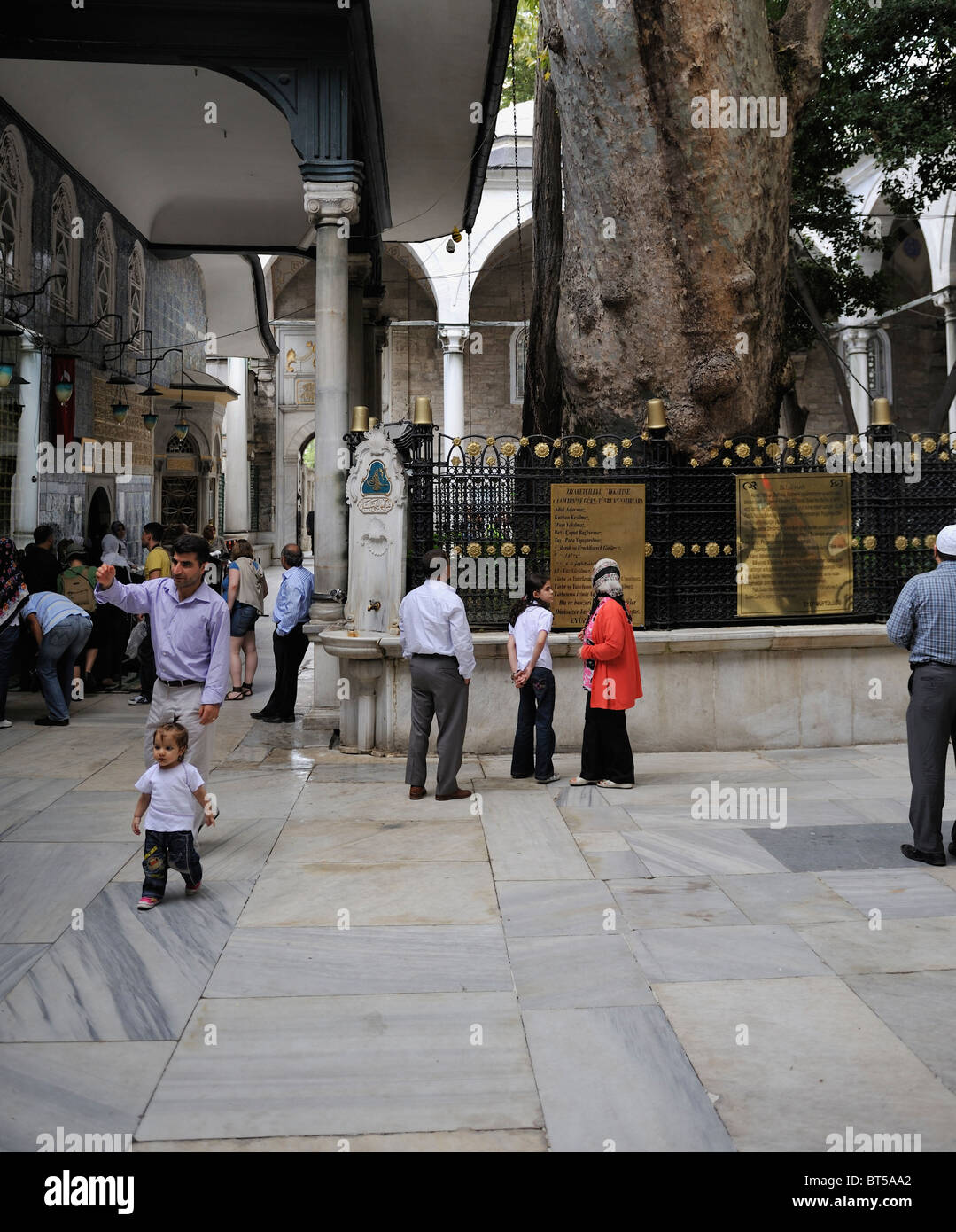Alten Platane (Bergahorn) im Innenhof der Eyüp Sultan Camii, İstanbul, Türkei 100914 35851 Stockfoto