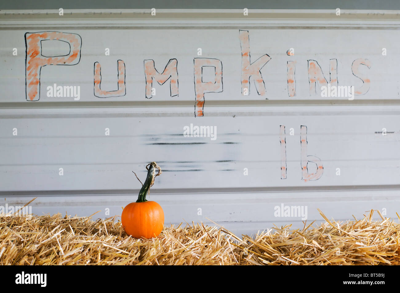Ein einzelner kleiner Kürbis sitzt auf einen Ballen Heu im Kürbisbeet verblasste Hinweistafel. Stockfoto