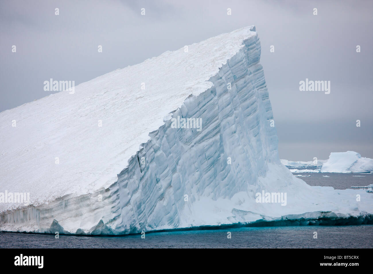 Schwimmende Eisberge in der Nähe von Paulet Island, antarktische Halbinsel. Stockfoto