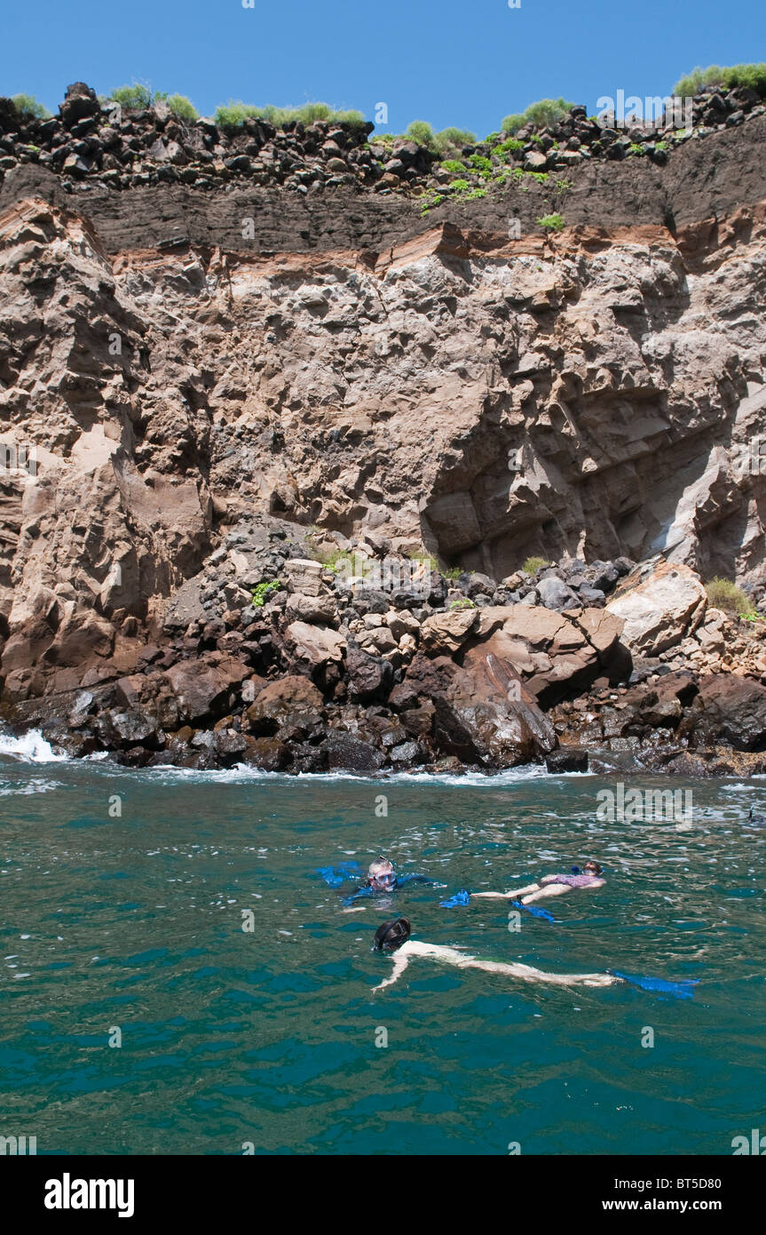 Galapagos-Inseln, Ecuador. Schnorcheln an Vincente Roca Punkt auf Isla Isabela (Insel Isabela). Stockfoto