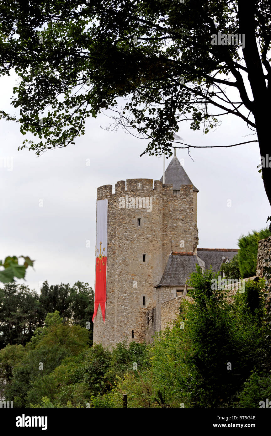 Die Festung des schwarzen Falken, Montbazon Burg, Indre-et-Loire, Touraine, Frankreich, in der Nähe von Tours Stockfoto