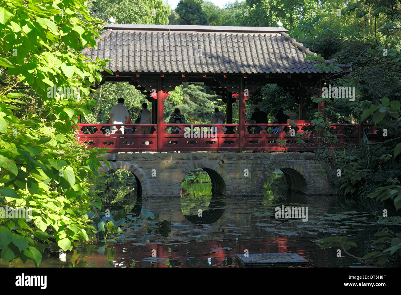 Japanischer Garten Im Chemiepark der Bayer AG in Leverkusen, Rhein, Nordrhein-Westfalen Stockfoto