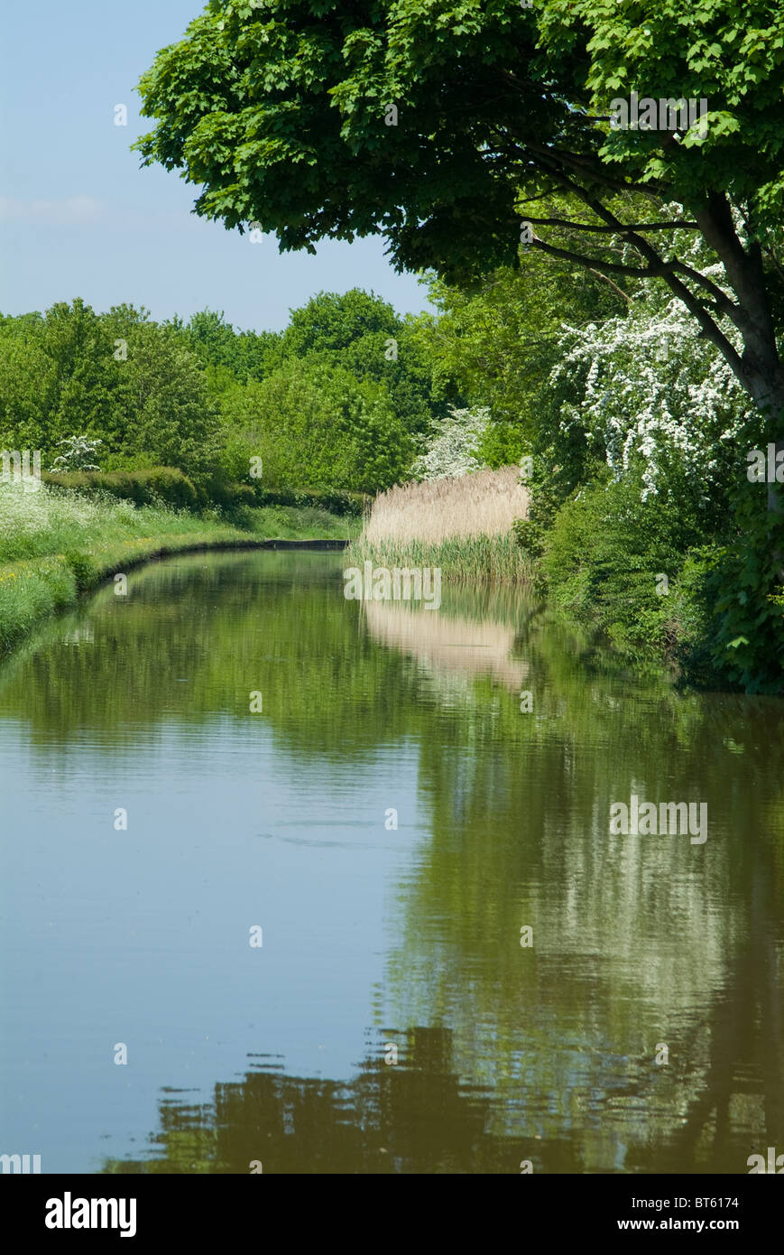 Sommer Kanalufer, UK GB Vereinigtes Königreich Großbritannien England Englisch blau, Fracht, Bau, England, Fuß, grünen Wald, Stockfoto
