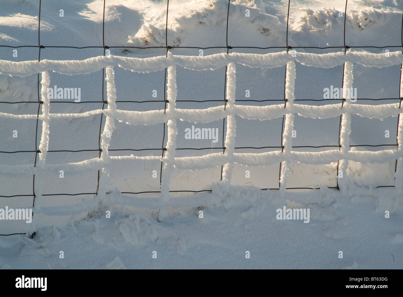 Draht-Kette Link Zaun Barriere Eis Schnee Winter unter den Gefrierpunkt Muster eingefroren Stockfoto