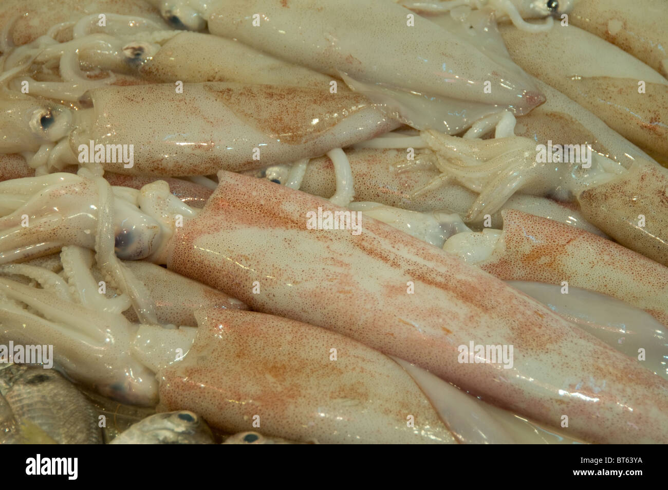 Marine Kopffüsser Tintenfisch essen produzieren marine nassen Diät Diät Markt Essen essbare frische Stockfoto