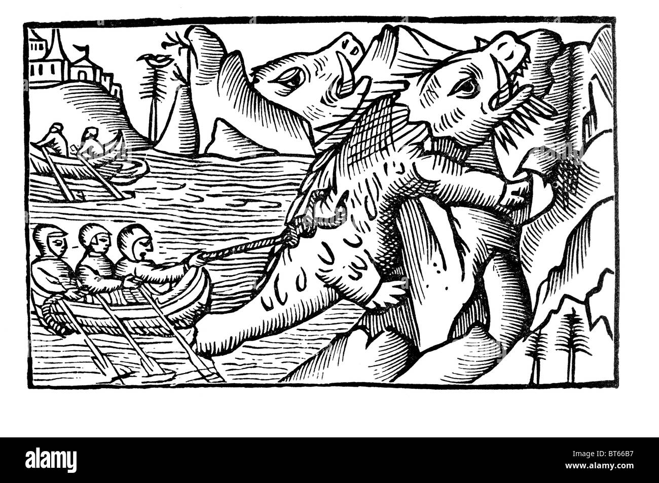 Walross jagen Olaus Magnus 1555 (Odobenus Rosmarus) große flippered Meeressäuger diskontinuierliche circumpolar Verteilung Arktis Oc Stockfoto