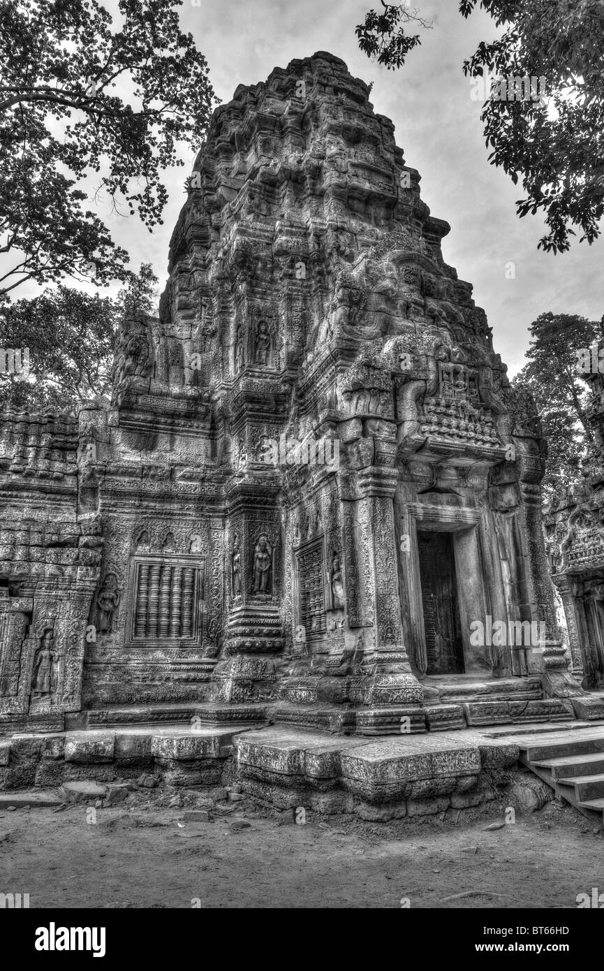 Ta Prohm Tempel, Angkor Wat, Kambodscha Stockfoto
