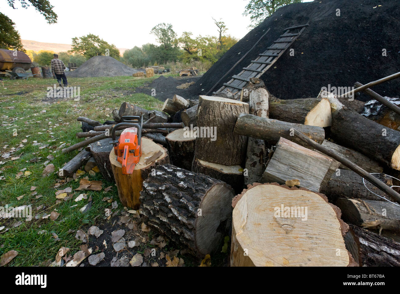 Werkzeuge und Holz in der traditionellen Köhler Hof am sächsischen Dorf Viscri, Siebenbürgen, Rumänien Stockfoto