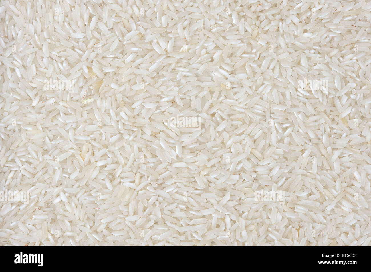 Reis Stockfoto