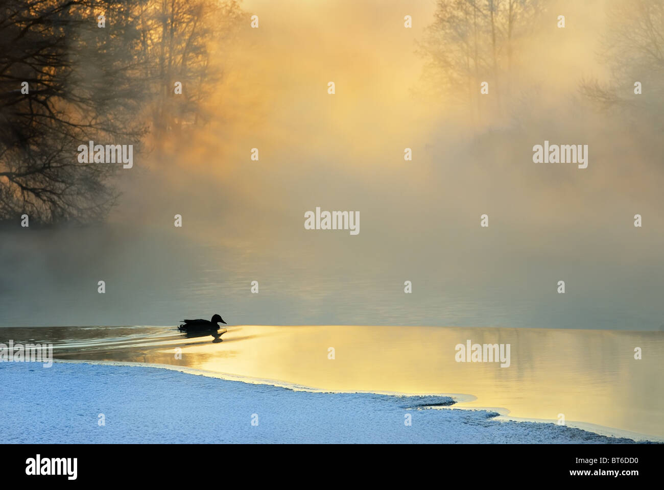 Frostigen Wintermorgen Stockfoto