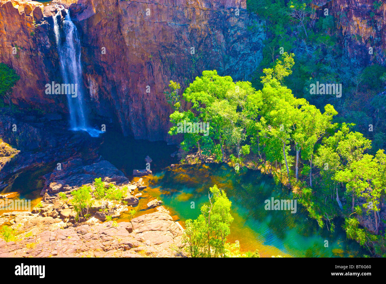 Wasserfall, Nitmiluk National Park, Australien, fällt vom Arhemland Böschung, Northern Territory, Eukalyptusbäumen (Gum) Stockfoto
