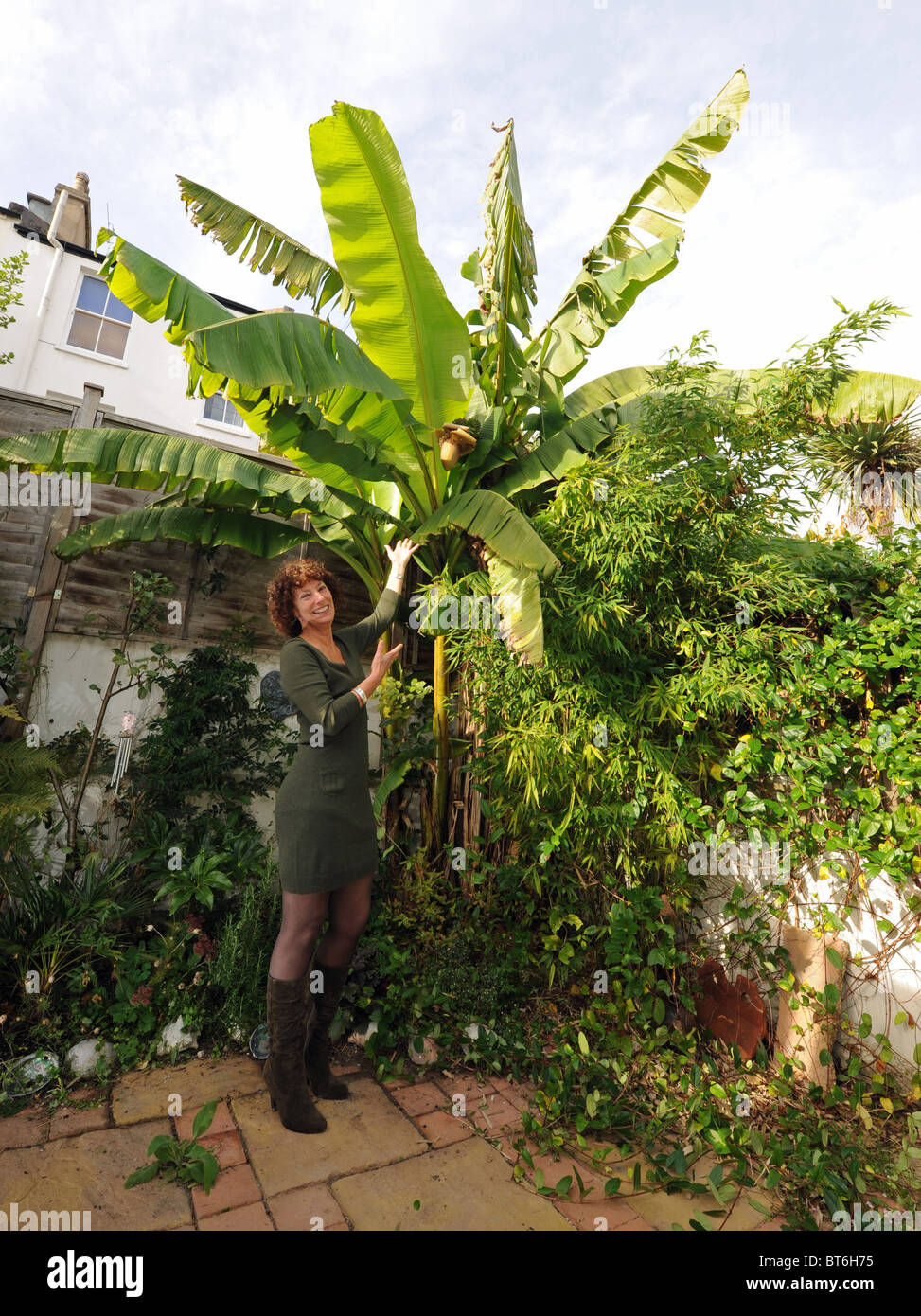 Hilary Masters Mit Ihrem Musa Basjoo Baum Oder Bananenbaum In