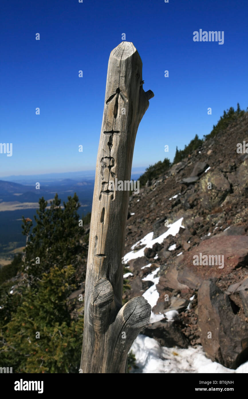 Log mit Trail und einen Pfeil als Trail Marker auf Mount Humphreys Stockfoto