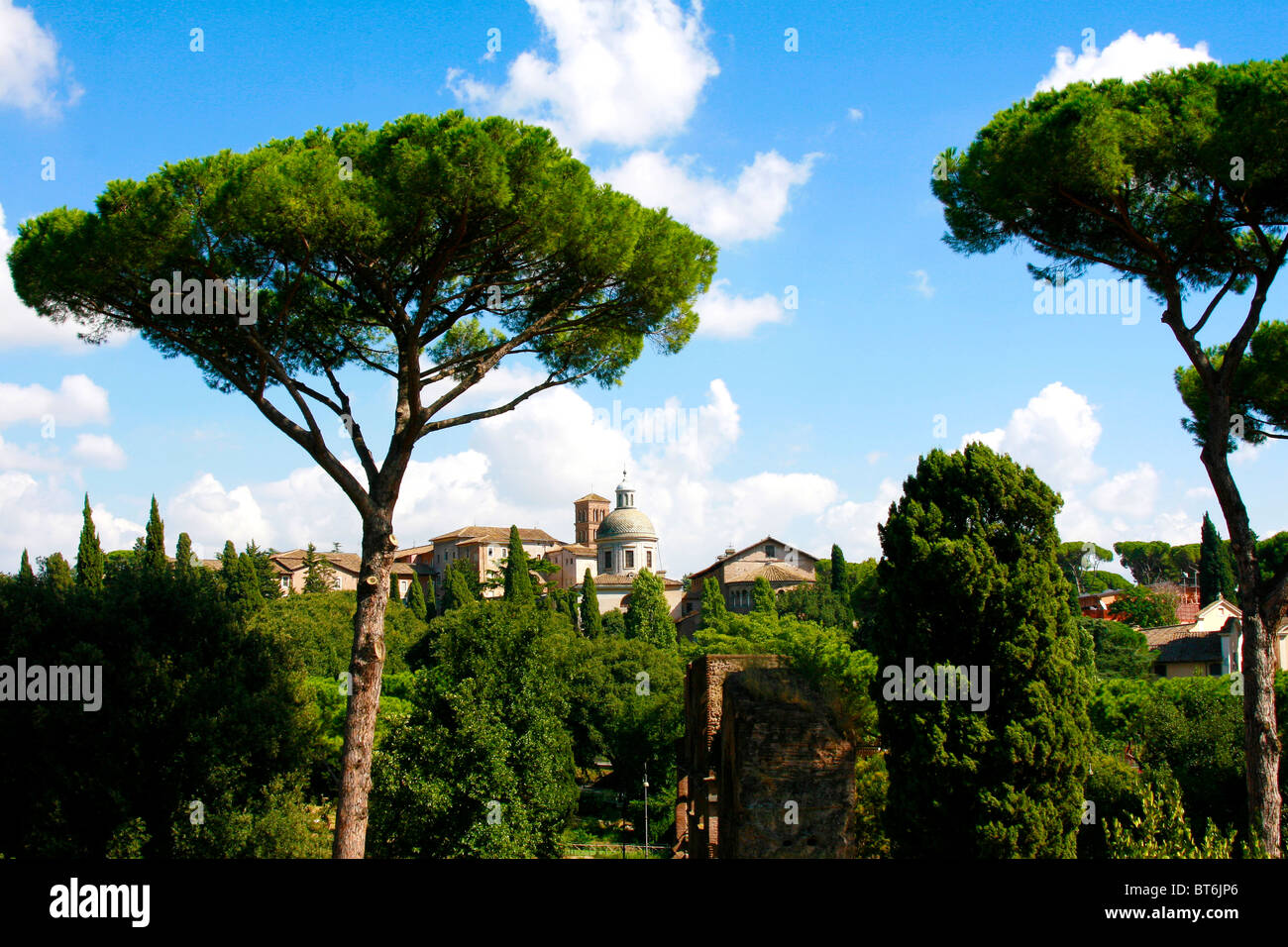 Italienischen Ambiente mit Akazien und einer antiken Villa gegen blauen Himmel Stockfoto