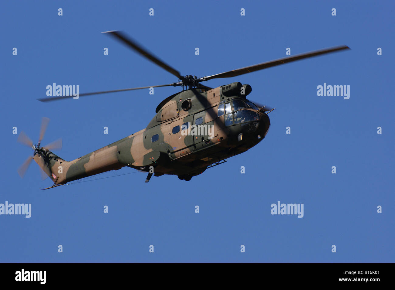 PUMA Militärhubschrauber Stockfoto