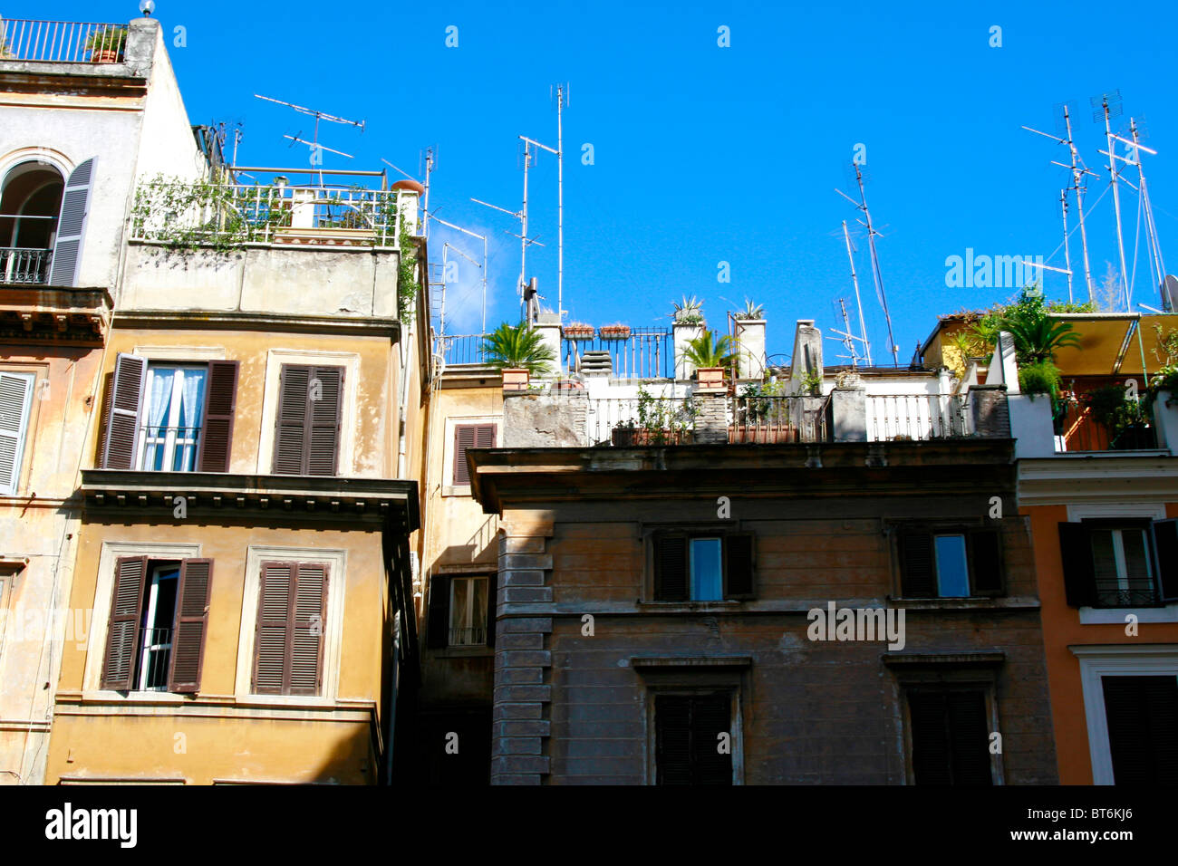 Italienische Skyline von Häusern und Balkonen mit palm Stockfoto