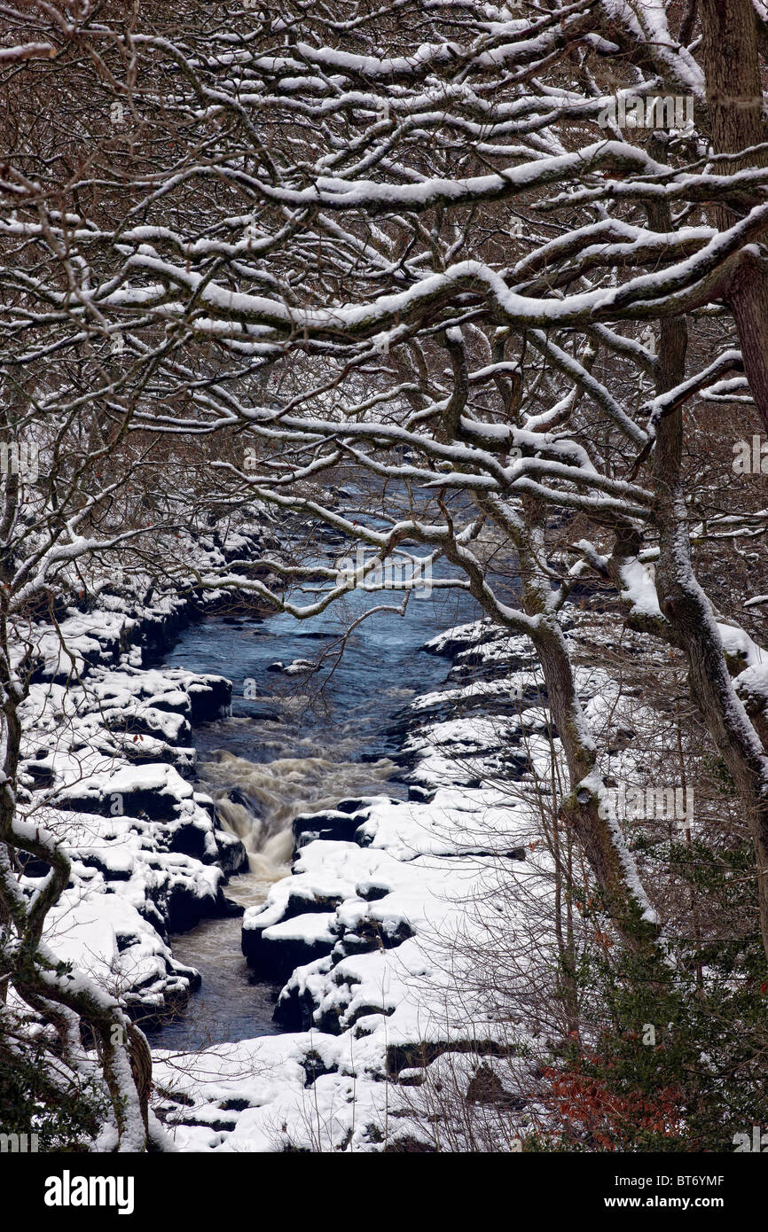 Strid, eine Engstelle des Flusses Wharfe im Strid Woods in Bolton Abbey, North Yorkshire. Winter Stockfoto