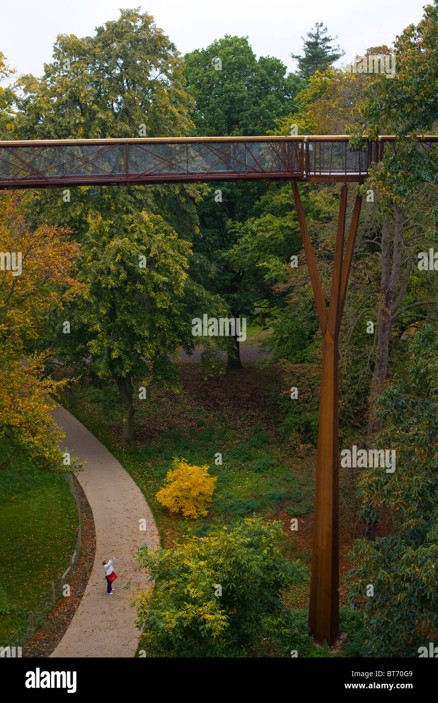 Xstrata Treetop Walkway in Kew Gardens, London Stockfoto