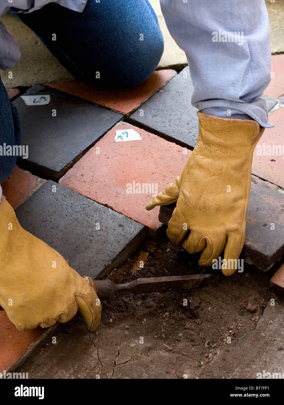 Nahaufnahme der Hände in schützende Handschuhe Verlegung alt schwarz + Terrakotta-Steinbruch-gefliesten Boden Stockfoto