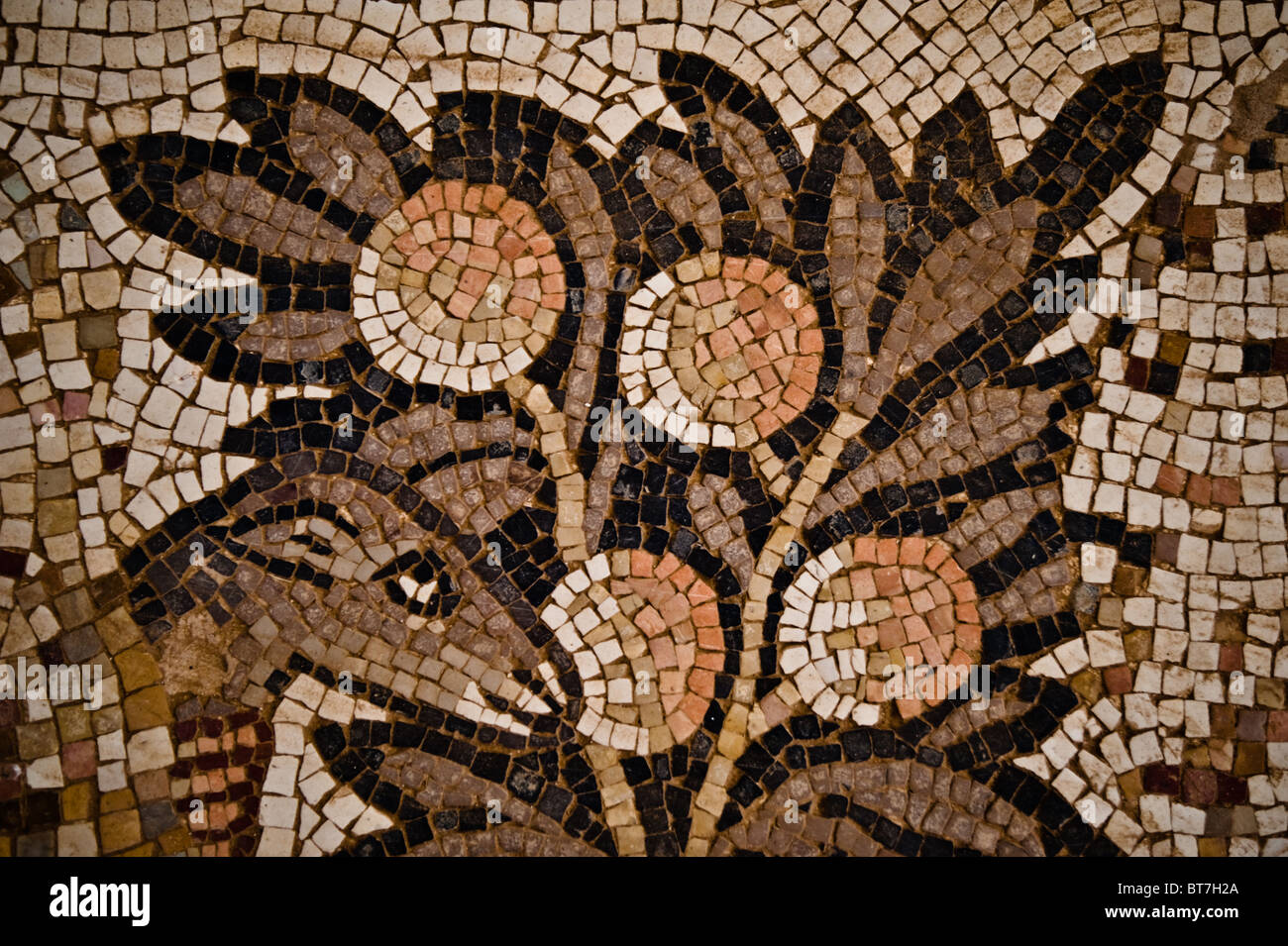 Detail aus Mosaik-Fußboden der Kirche aus dem 8. Jahrhundert von St. Stephan in Umm al-Rasas, Jordanien. Stockfoto