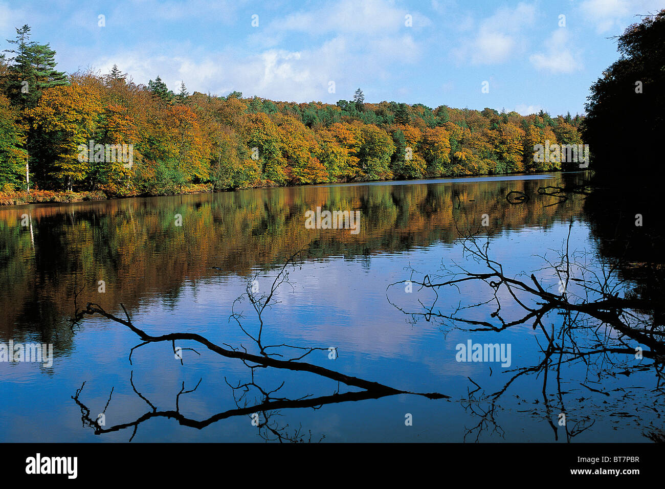 Frankreich, Bretagne, Ille et Vilaine, Wald von Paimpont, Forges de Paimpont, Teich Stockfoto