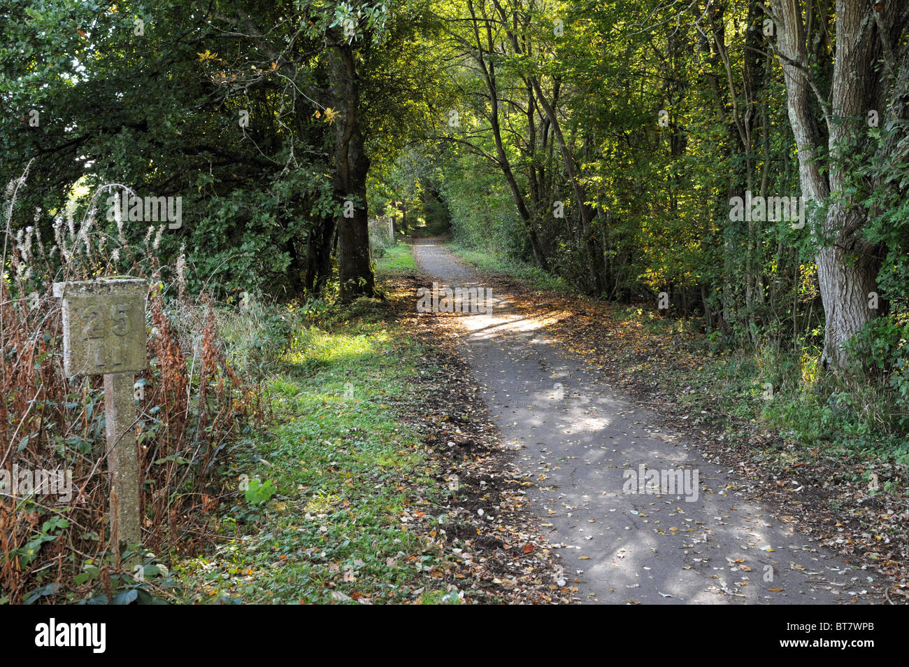 Frühen herbstlichen Farben auf der Spur der Kuckuck. Hier folgt es eine alten Eisenbahnlinie durch die Wealden-Landschaft. Stockfoto