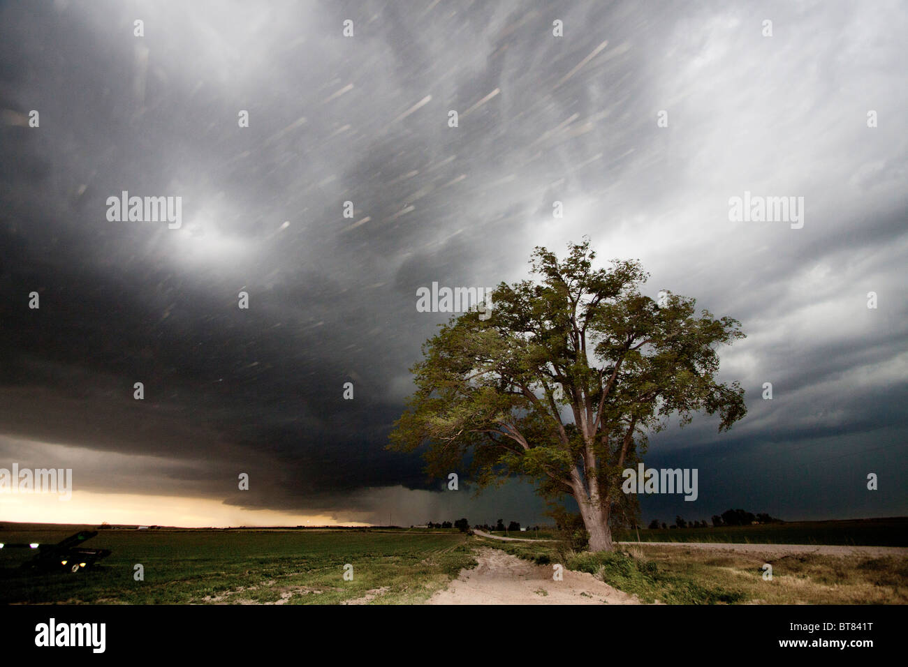 Ein einsamer Baum steht vor einem Gewitter in der ländlichen Nebraska Prärie in der Nähe von Scottsbluff, Nebraska, USA, 7. Juni 2010. Stockfoto