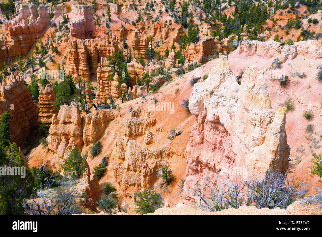 Bryce Canyon Felsformationen Stockfoto