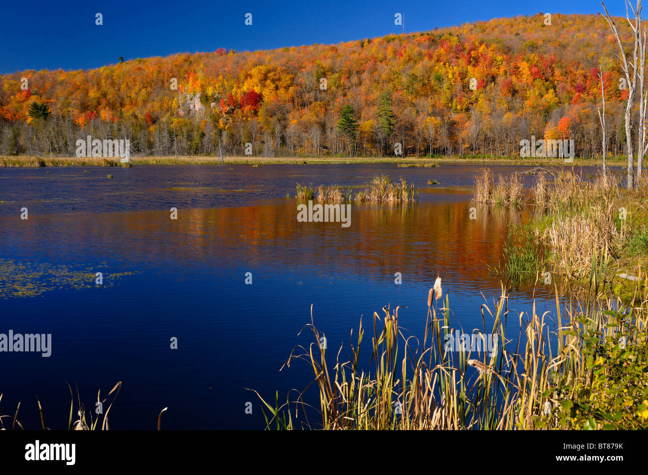 Ryan Tower im Gatineau Park See im Herbst mit bunten Blättern von der Rückseite des Lagers fortune Quebec Kanada Stockfoto
