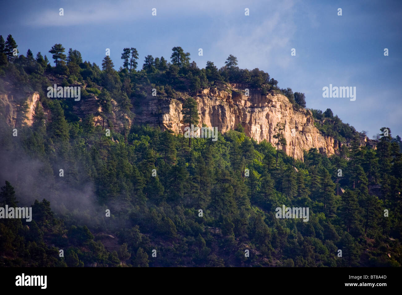 Kalksteinfelsen, Durango, Colorado Stockfoto