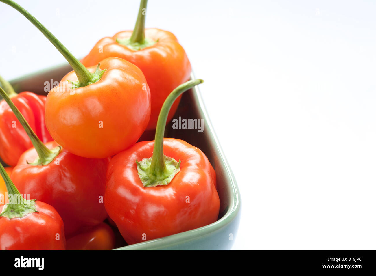 Sweet Piquanté Peppers auf einem isolierten weißen Hintergrund Stockfoto