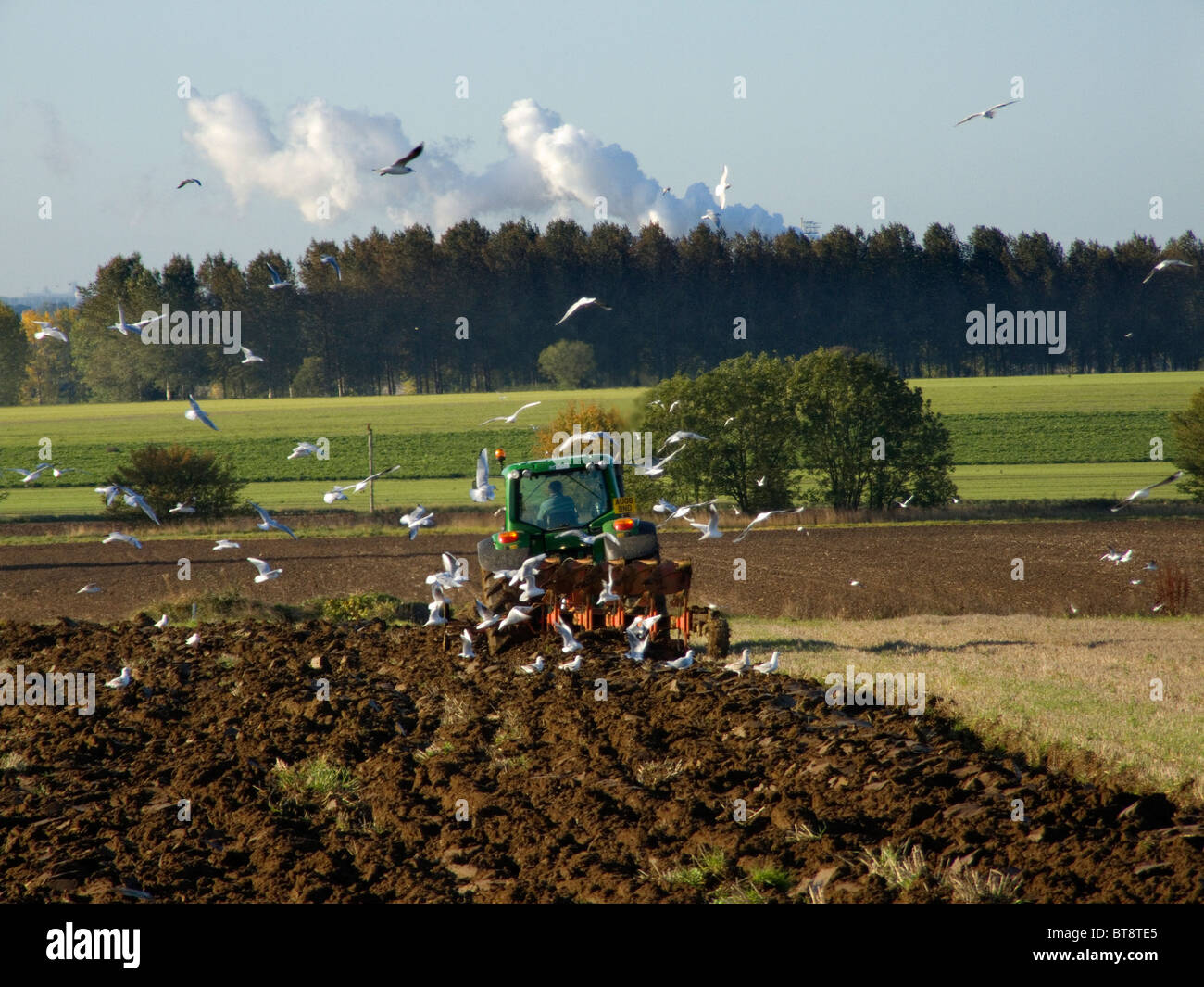 John Deere 6930 Traktor pflügen ein Feld auf einen hellen und sonnigen Oktobertag, gefolgt von Möwen fliegen auf der Suche nach Nahrung Stockfoto