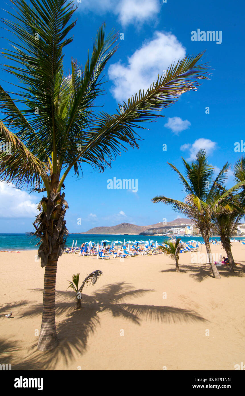 La Canteras Strand in Las Palmas, Gran Canaria, Kanarische Inseln, Spanien Stockfoto