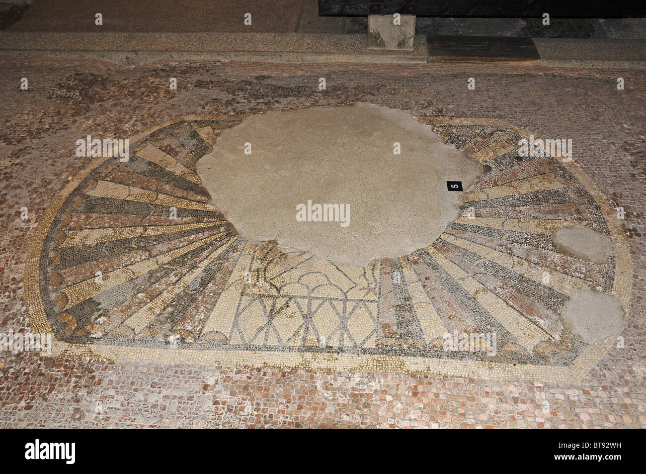 Jakobsmuschel-Mosaik im Fishbourne Roman Palace. Mittelloch, verursacht durch eine Eiche aufwachsen. Stockfoto