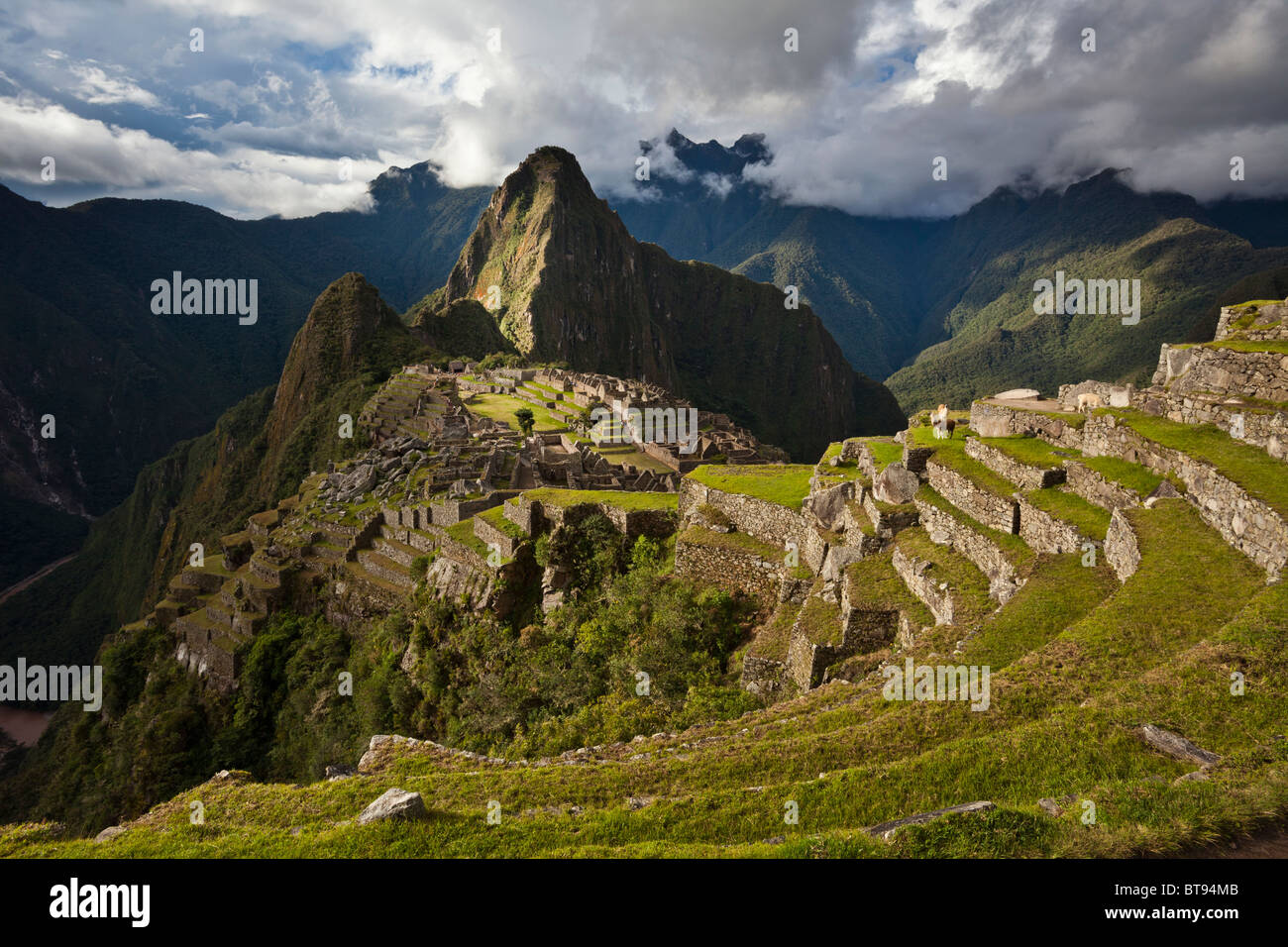 Machu Picchu, die alten "verlorene Stadt der Inkas", CA 1400, 2400 Meter. Höhepunkt des Huaynapicchu in der Ferne. Stockfoto
