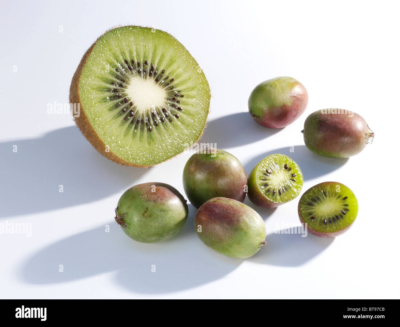 Kiwis und Mini-Kiwis in Hälften und ganze schneiden Stockfoto