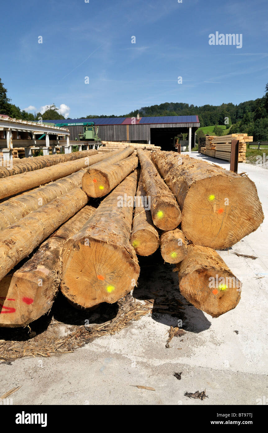 Geschälten Baumstämme, Holz Fabrik in oberen Bayern, Bayern, Deutschland, Europa Stockfoto
