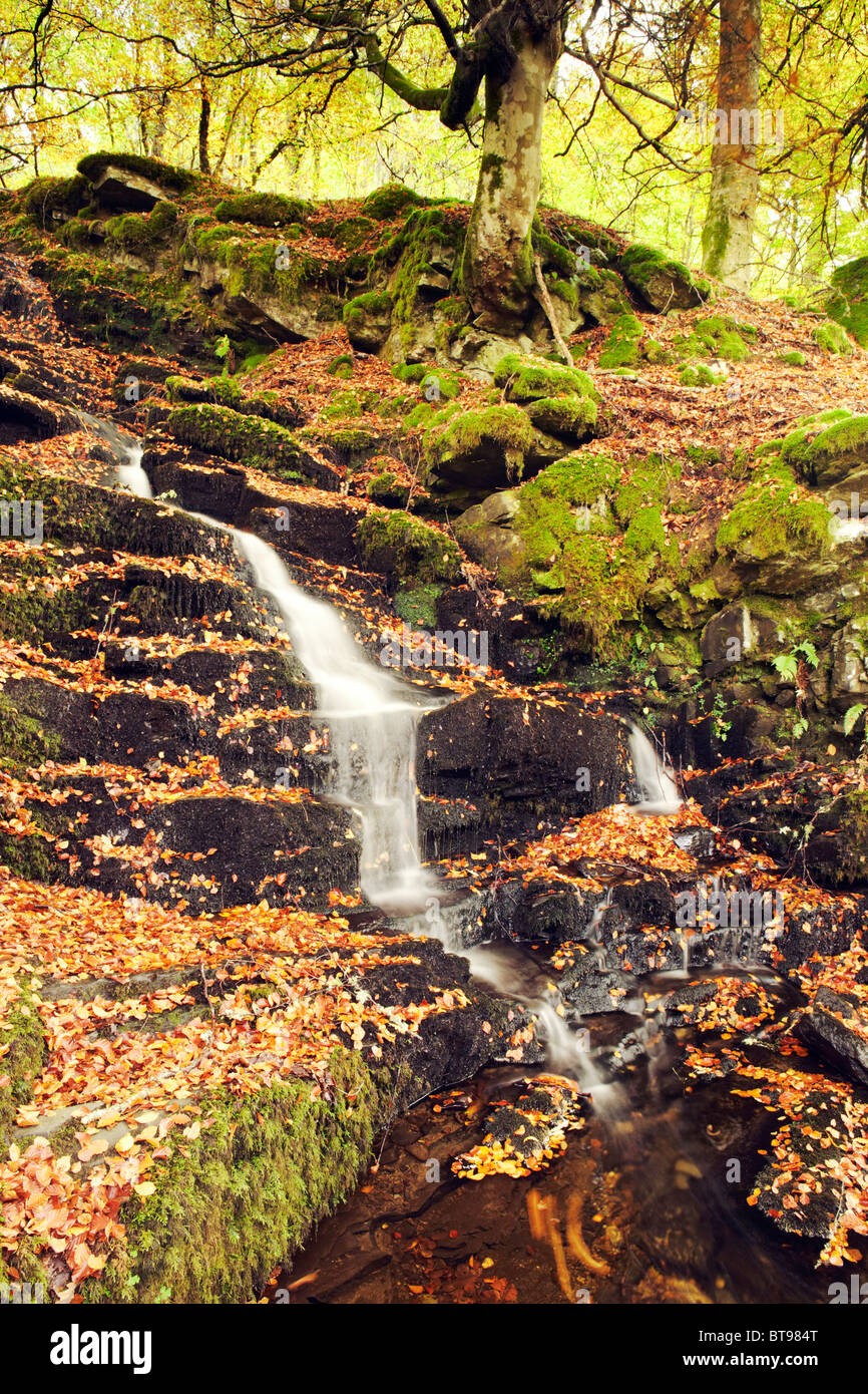 Herbst-Stream, Birks Aberfeldy, Tayside, Schottland Stockfoto